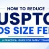 USPTO IDS Size Fees